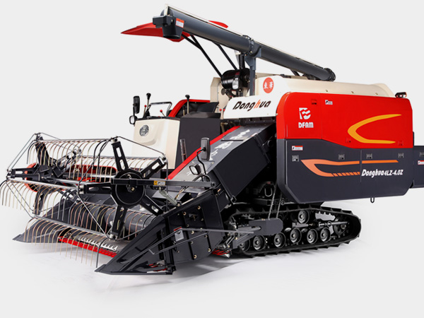 中东家庭伦理短剧